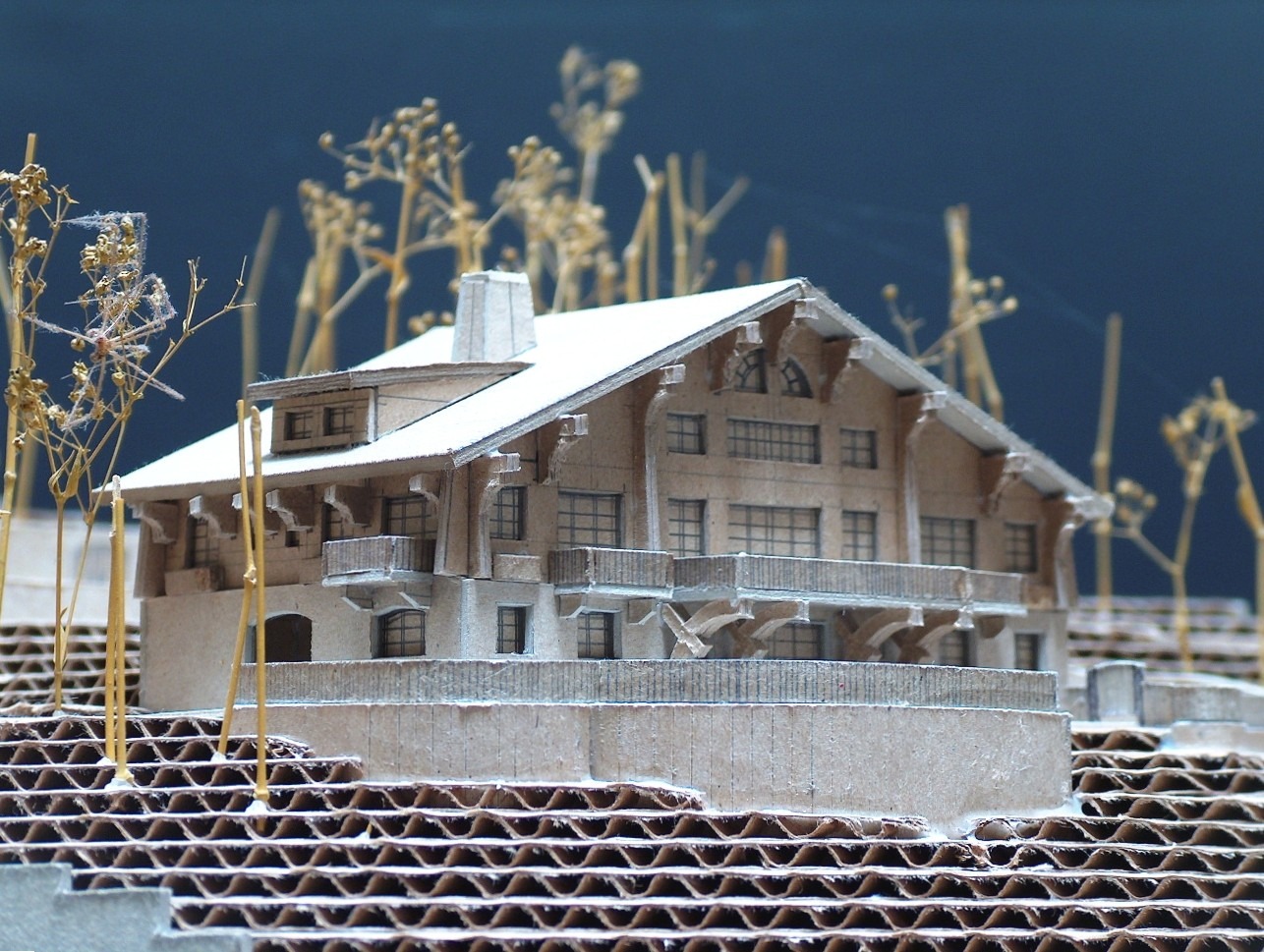 Swiss Chalet